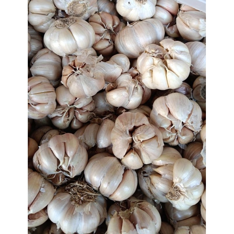 

bawang putih curah murah|bawang putih kiloan|bawang putih