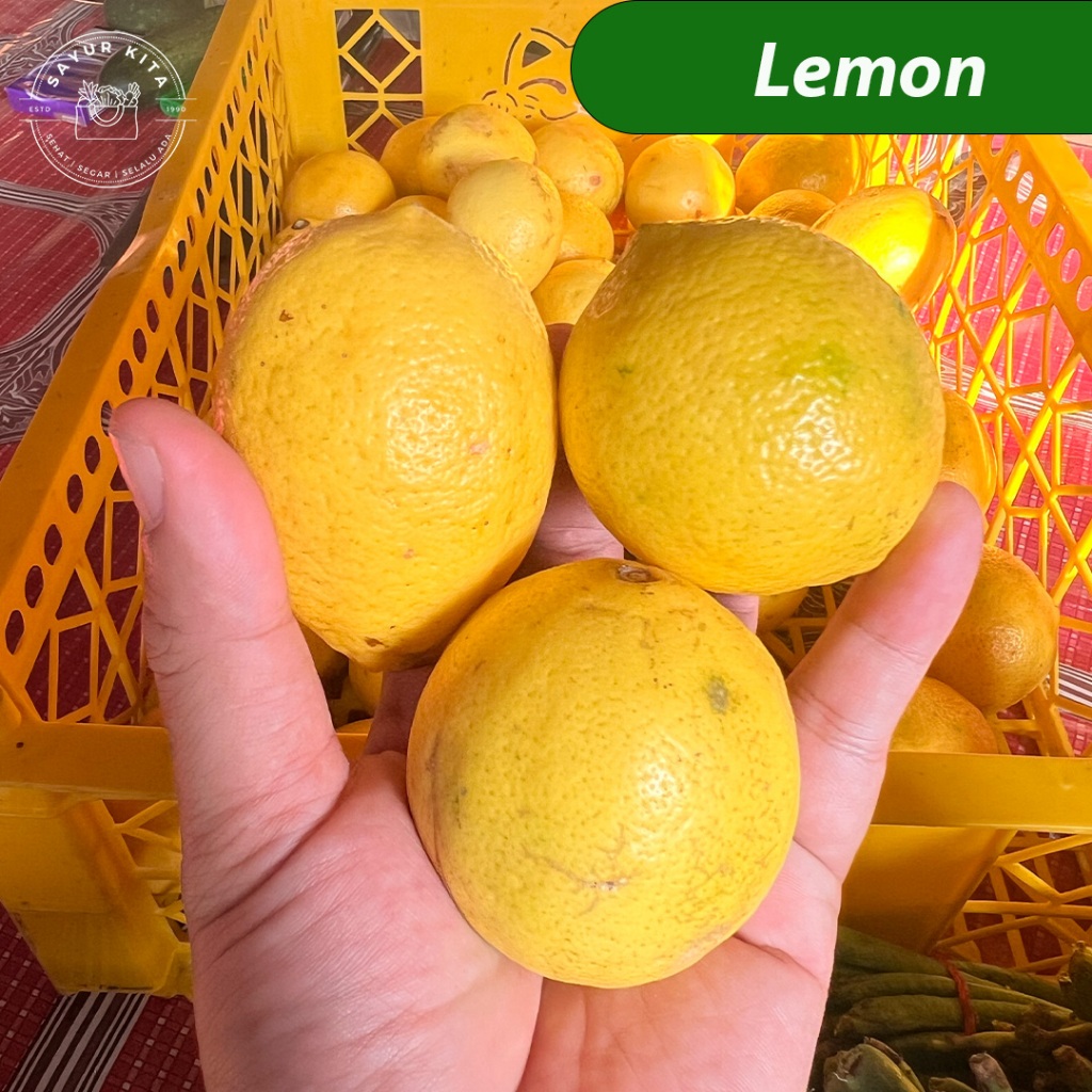 

Lemon Segar 1 pc | sayurkita_id