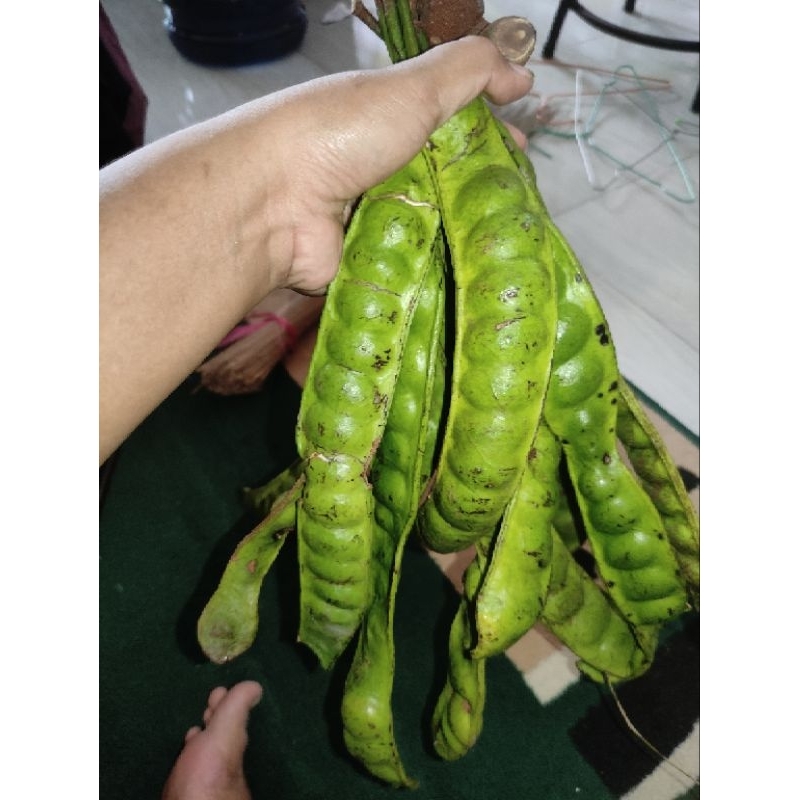 

pete malang segar