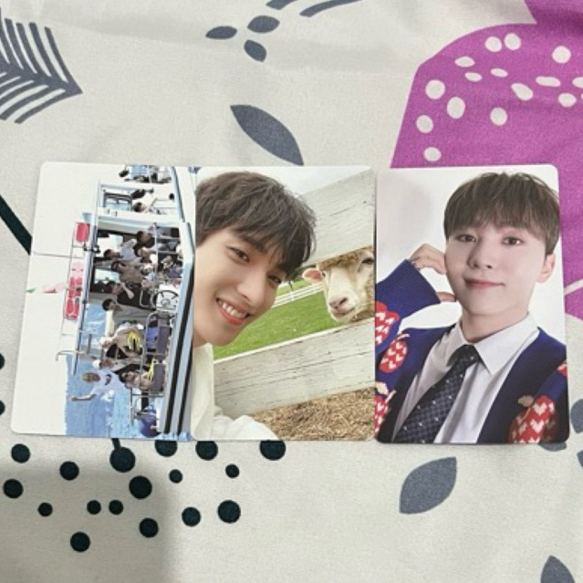 dk mbek kwan dvd ot13 nana tour