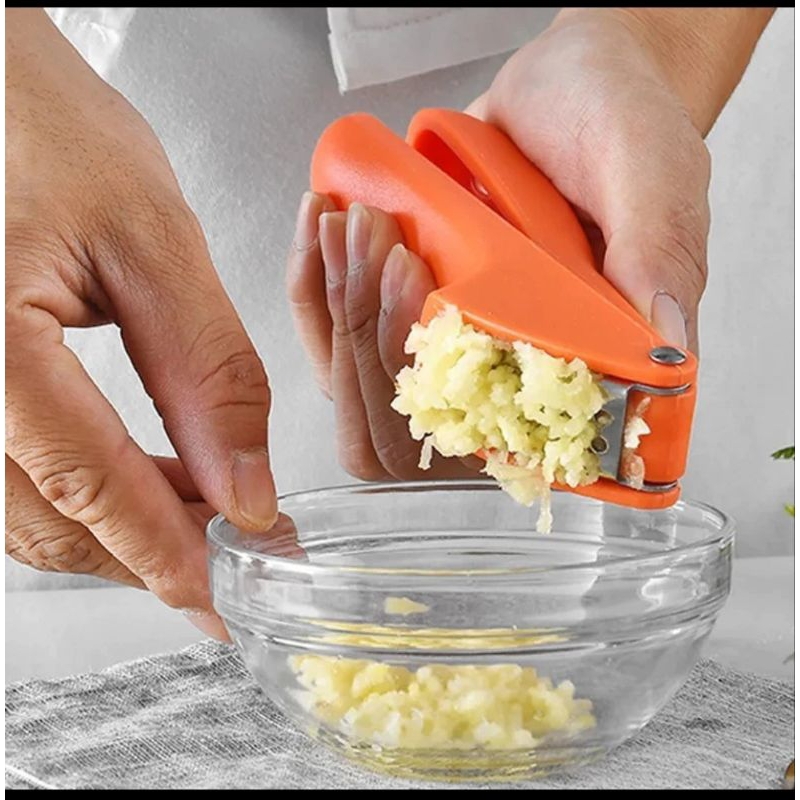 Pencacah bawang putih penghancur bawang putih manual alat press bawang putih