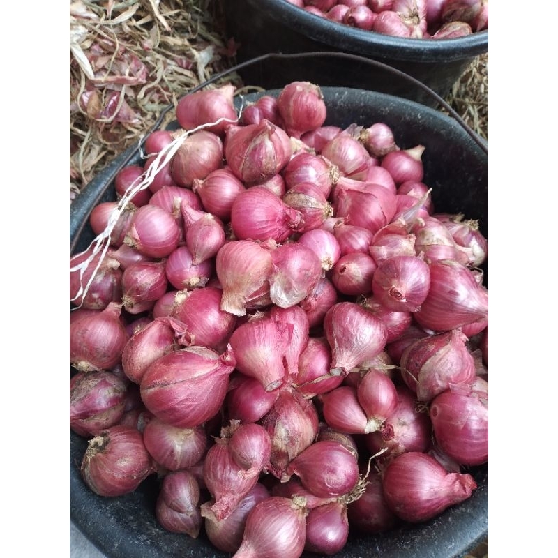 

bawang merah super 1 kg