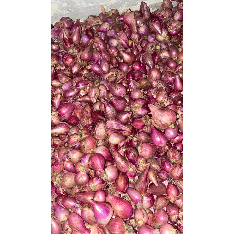 

bawang merah