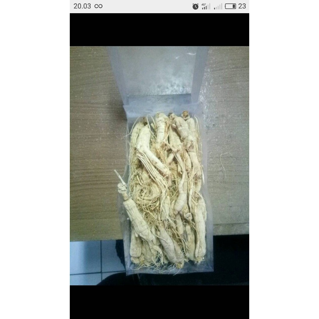 

akar ginseng cina utuh ren shen 100g 100gr 100gram 100 g gr gram