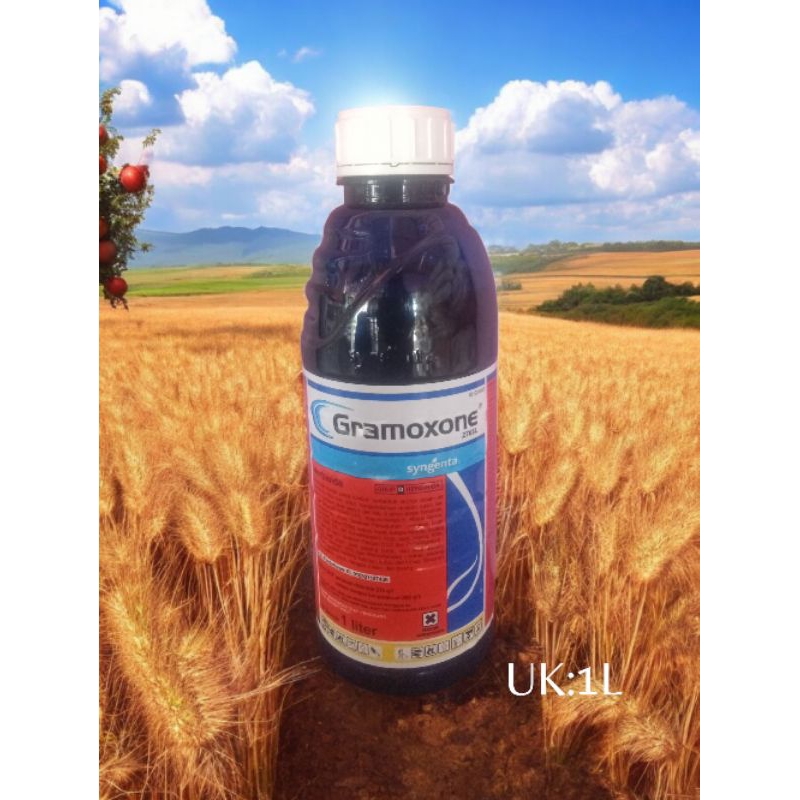 Gramoxone Syngenta