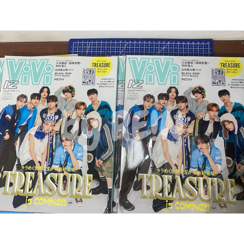 [READY] VIVI MAGAZINE JAPAN TREASURE