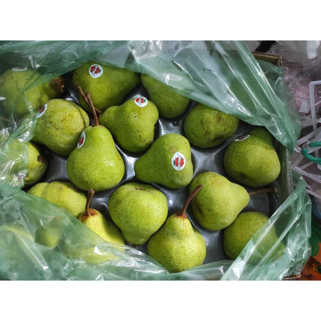 

MILLI 2pc Buah Pear Packham Pakham Pear Jambu buah online everyday fruit Makassar