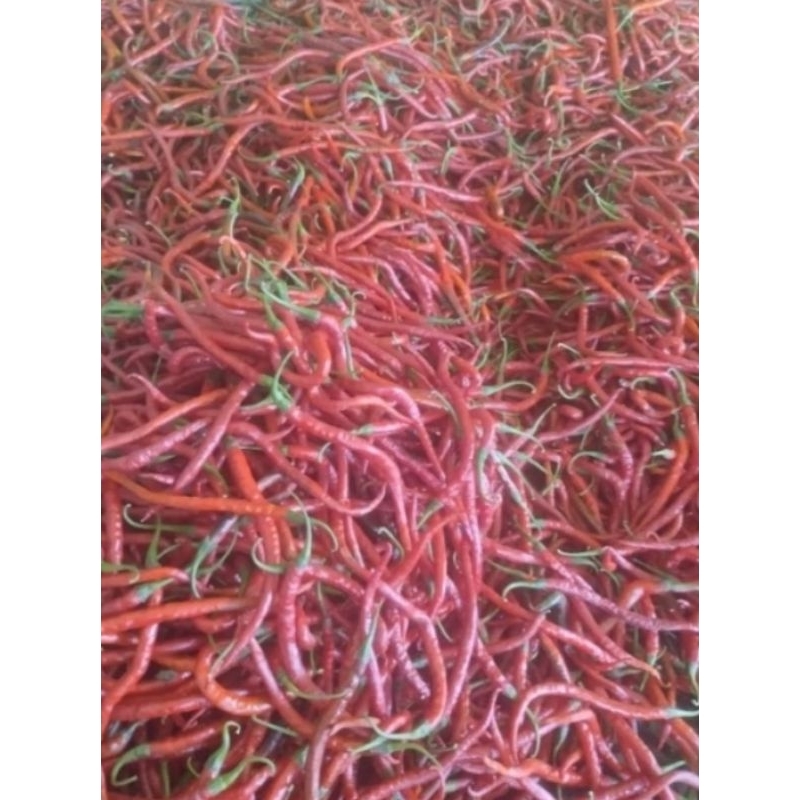 

Cabe Merah Keriting 3kg
