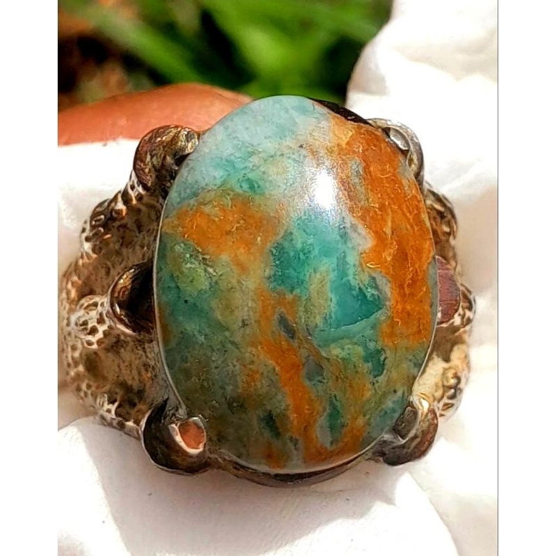 Pirus Hubei multicolour ceplok kuro