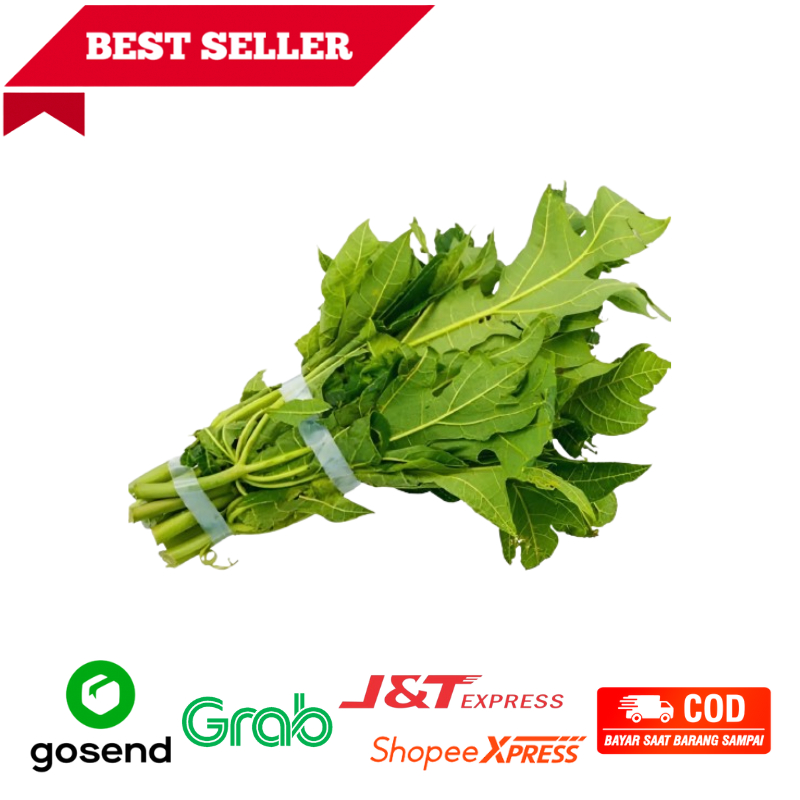 

Daun Pepaya/Daun Gedang Lalapan Fresh 1 Ikat Freshmart Go