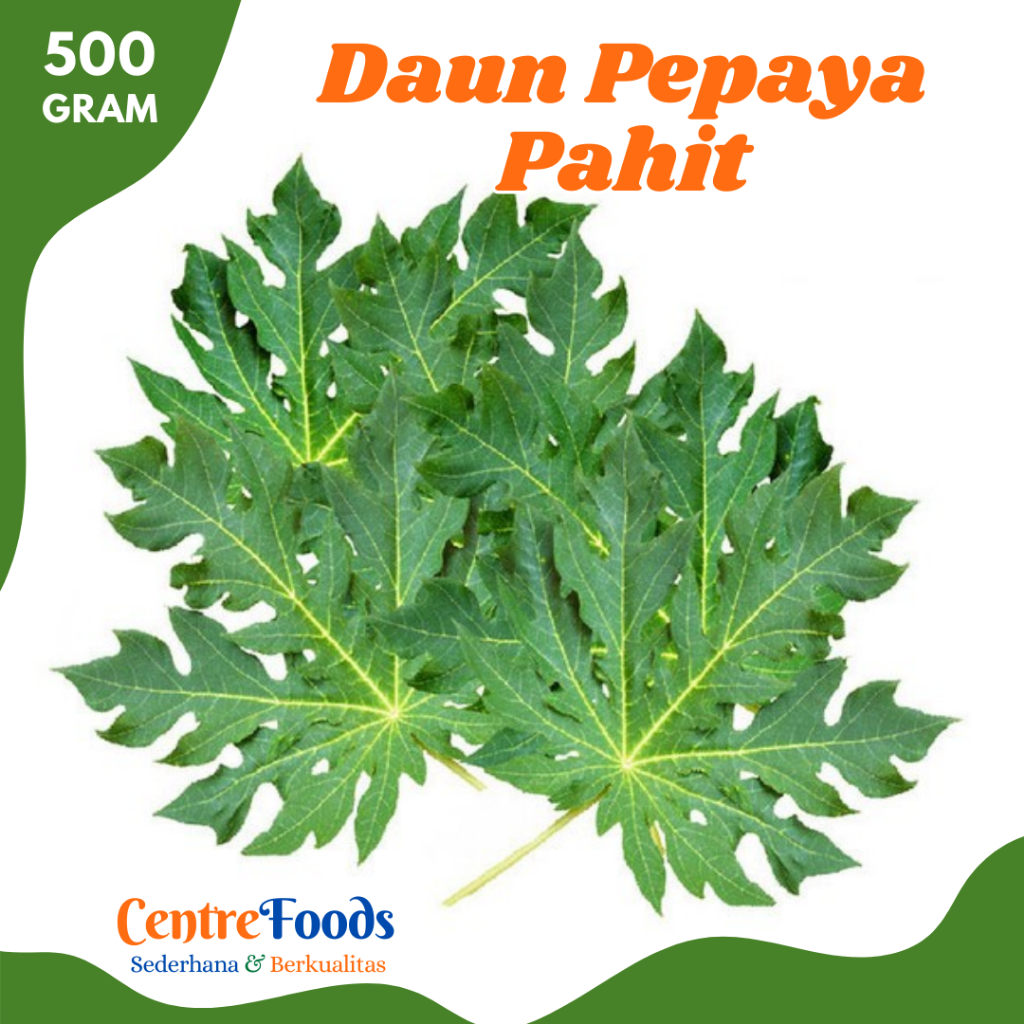 

DAUN Pepaya Pahit - Daun Kates Fresh | 500gr [ Harga Per 0,5 Kg ]