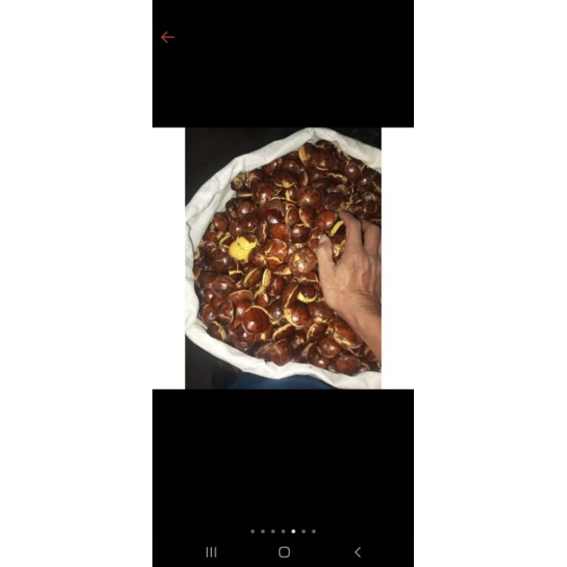 

Jengkol 1Kg / Jreng Super