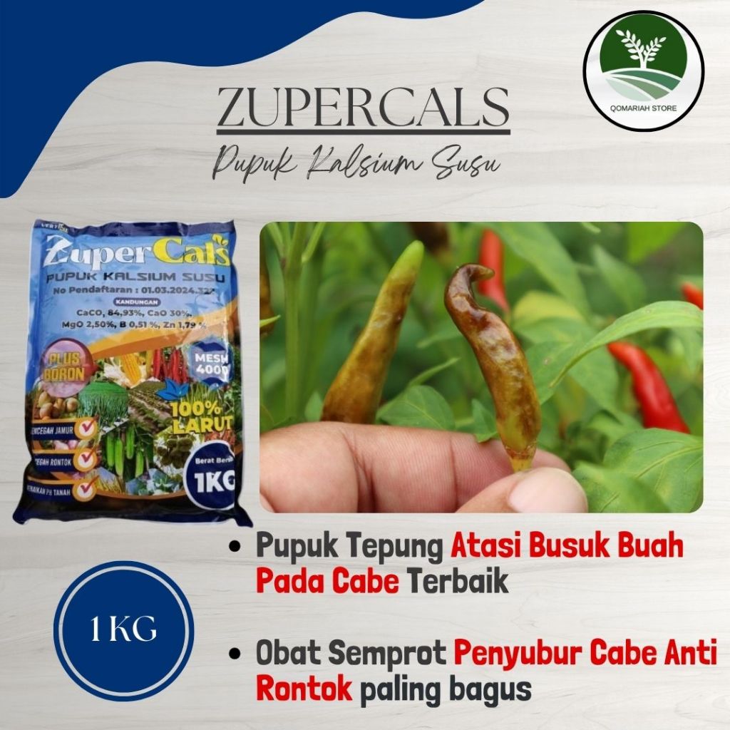 ZUPERCALS 1KG Obat Ampuh Anti Busuk Buah Cabe Rawit - Obat semprot atasi bule cabe paling rekomended