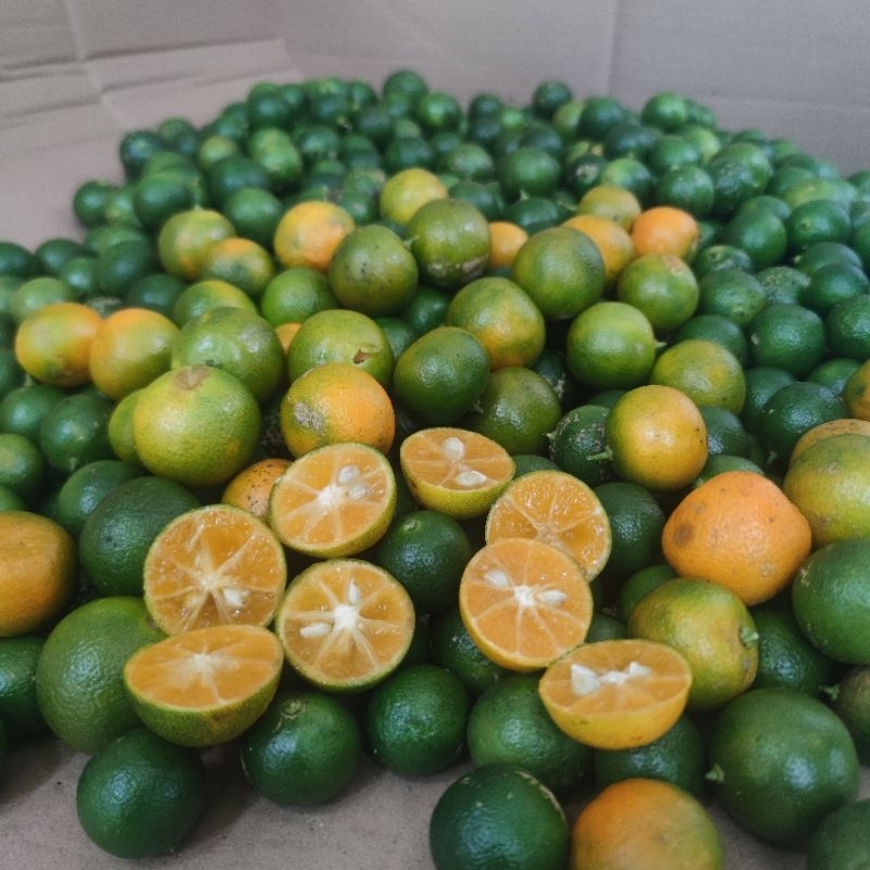 

JERUK SONKIT / JERUK KONCI JERUK KALAMANSI HARGA GROSIR 1KG