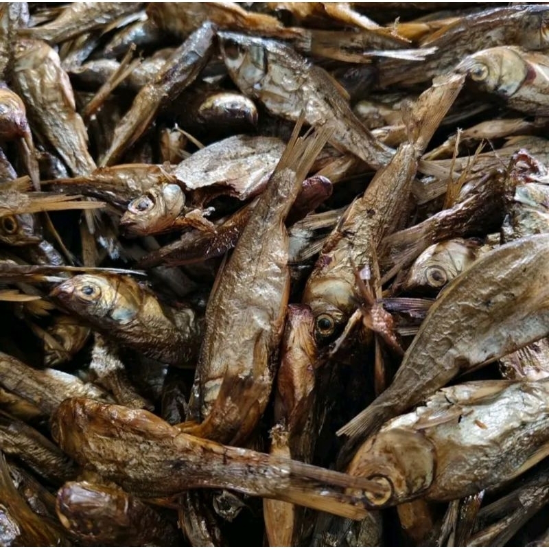 

ikan salai motan kering enak dan bergizi