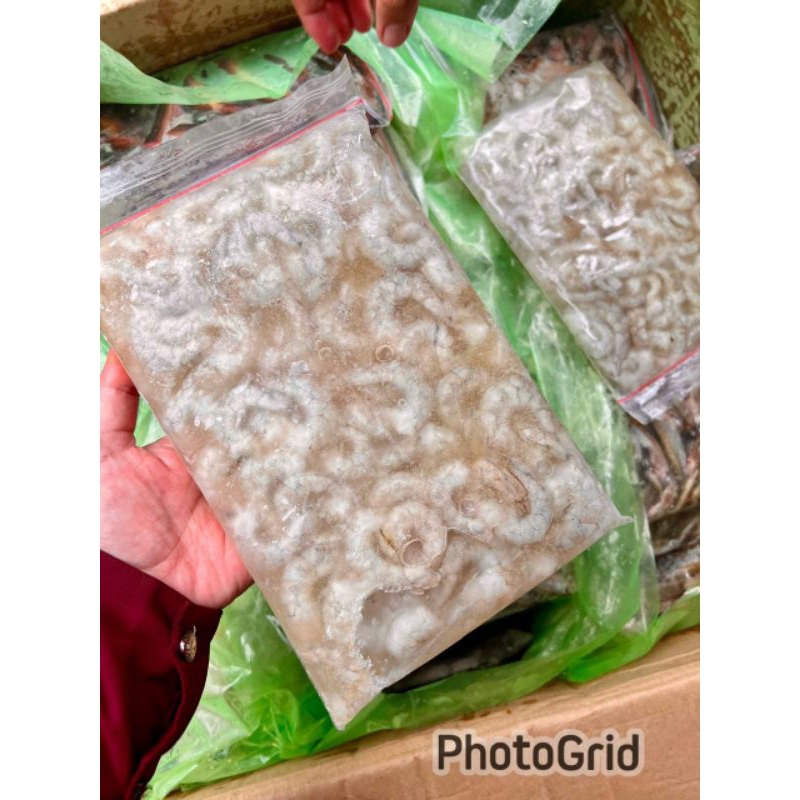 

UDANG KUPAS KEPALA 500Gram