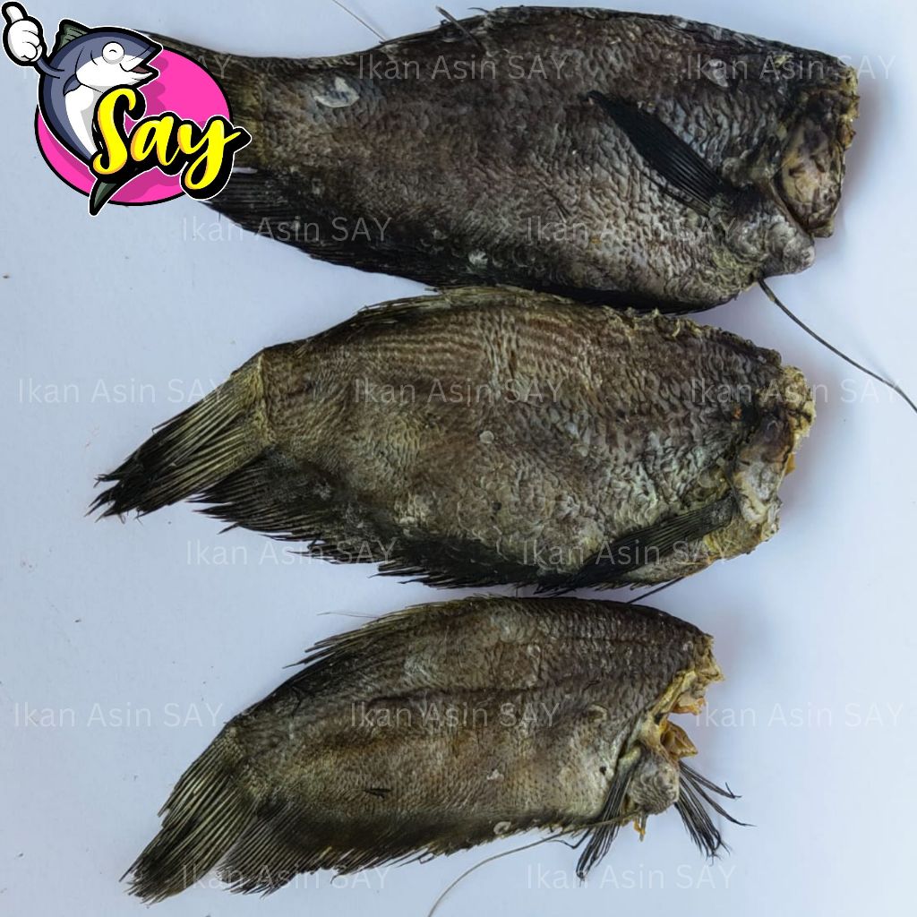 

Ikan Asin Sepat Siam 500gr