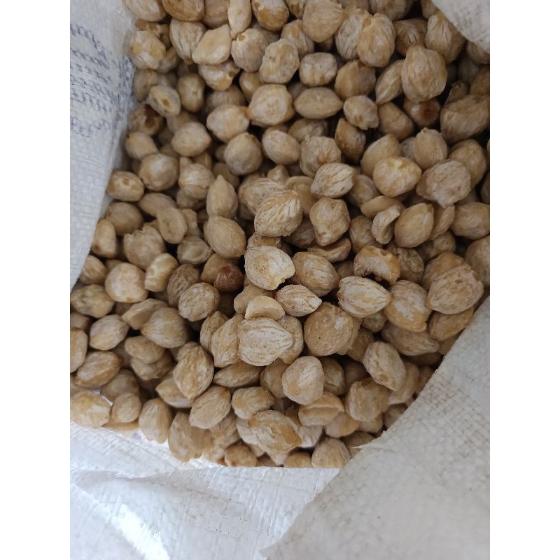

kemiri bulat fresh asli 1kg