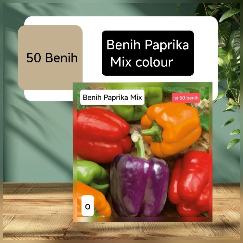 Benih Paprika Cabai Besar (50 butir)