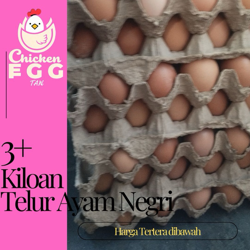 

Telur ayam negeri 3kg