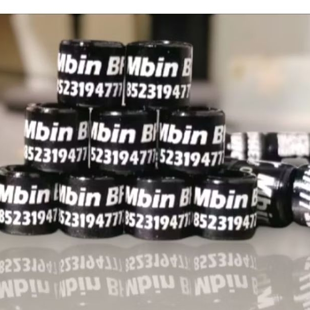 Gelang burung laser custom Ring burung bisa reques nama dan nomer ring burung kacer ring burung cend