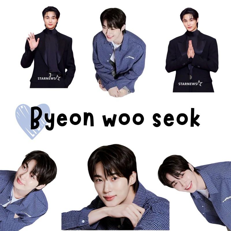 

STICKER BYEON WOO SEOK ( auto cut / bisa di lepas )