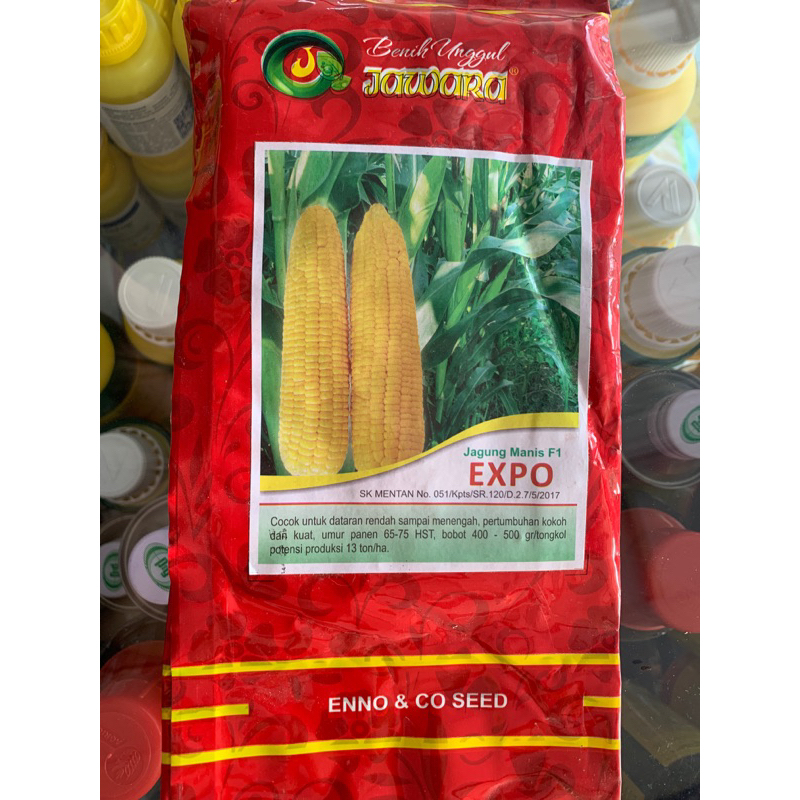 

Benih Jagung Manis EXPO 250 Gram Seperti Eksotic