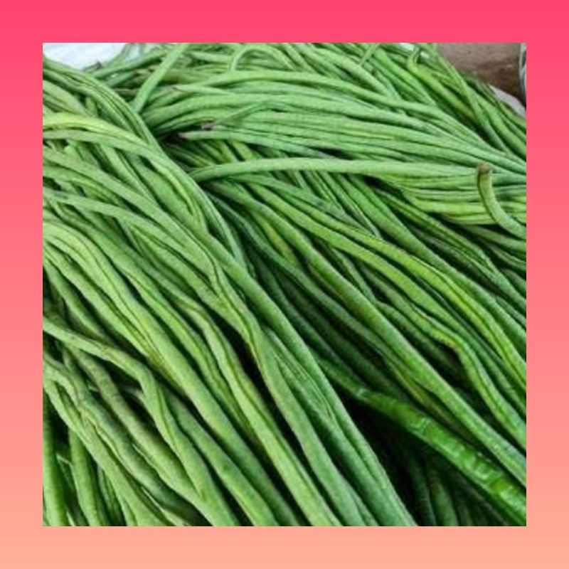 

Kacang panjang segar 1 kg | Kacang panjang lalapan sayur | Kacang panjang | Kacang panjang 1 kg fresh | Kacang panjang 1 kg