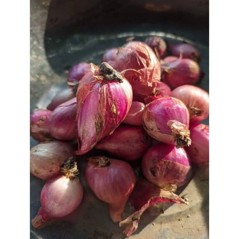 

bawang merah 1 kg asli nganjuk campur murah