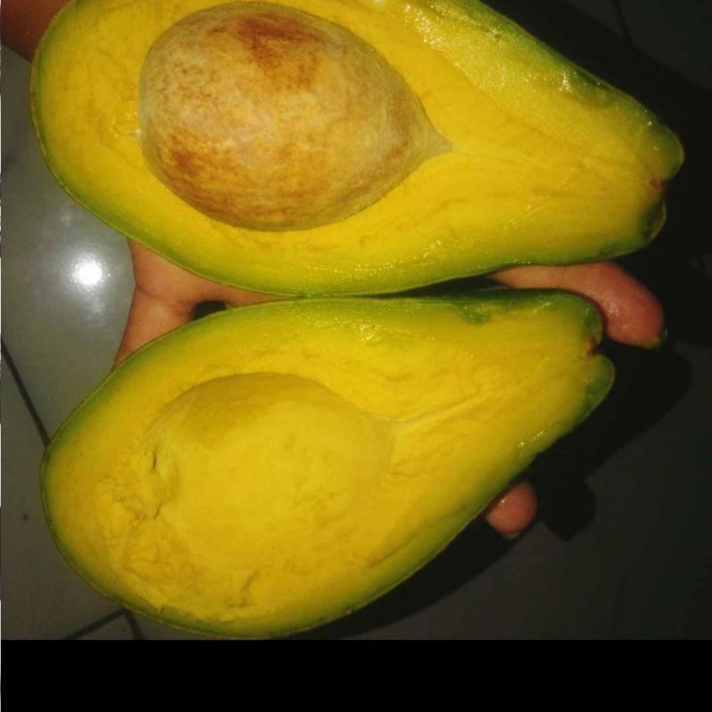 

alpukat mentega