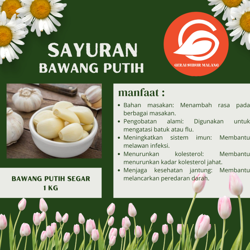 

bawang putih segar lokal 1 kg | siap untuk dimasak