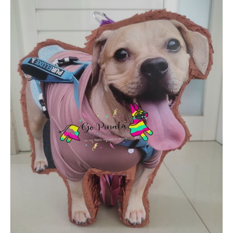Pinata custom dog doggy pinata tarik pinata ulangtahun