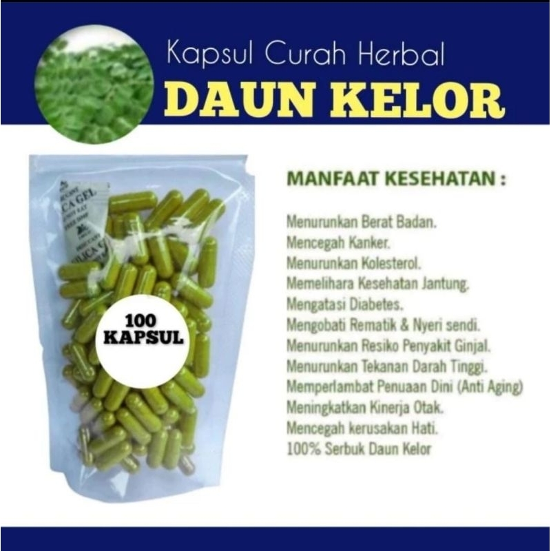 DAUN KELOR 100 kapsul