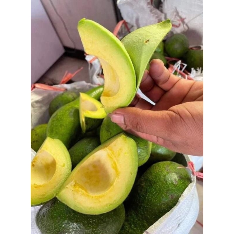 

Alpukat Mentega 1 kg