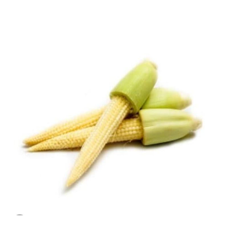 

jagung semi / baby corn 250gr