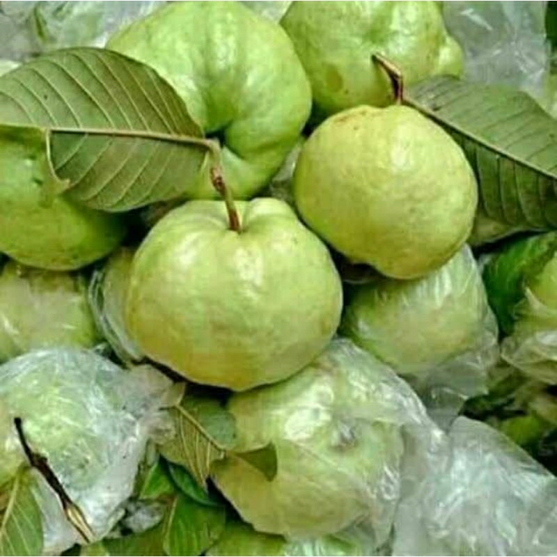 

jambu kristal istimewa asli fresh 1 kg