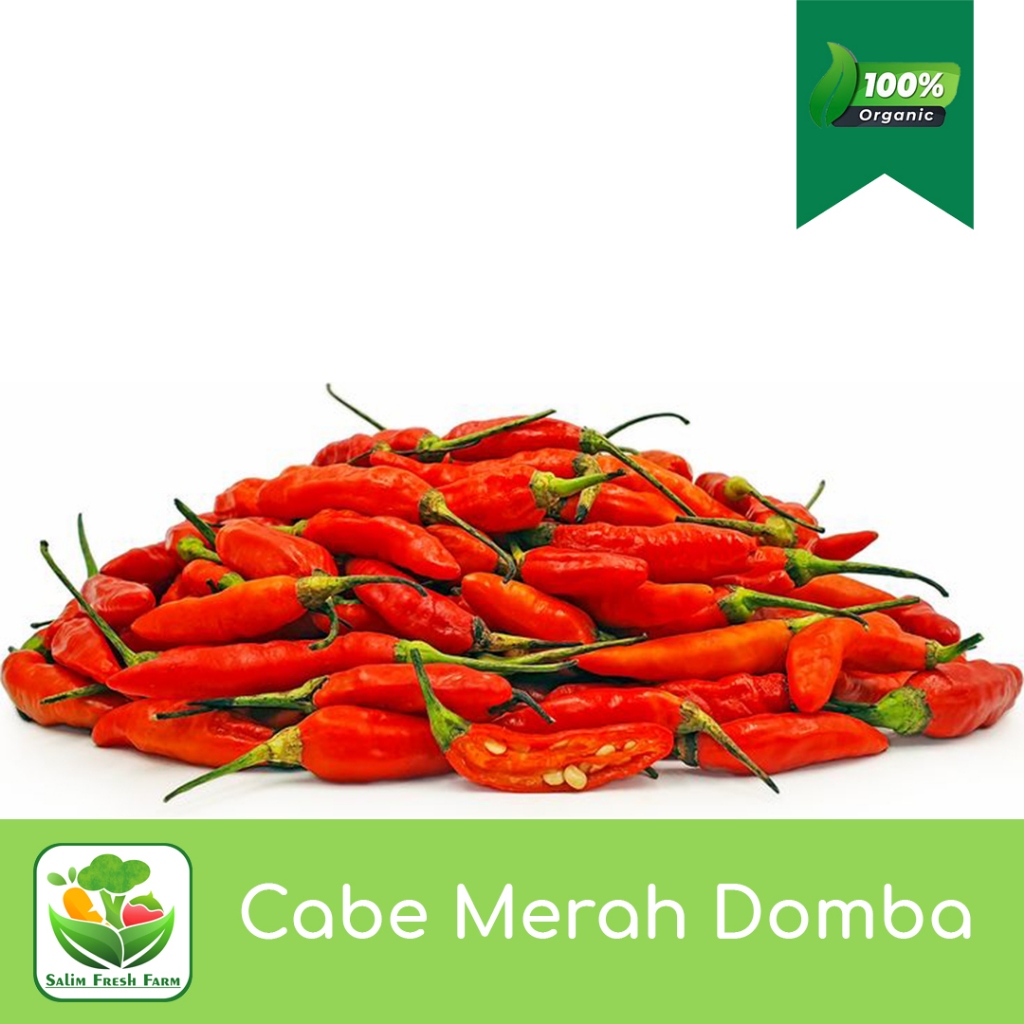 

Cabe rawit/Cabe rawit domba/Cabe rawit merah 100 gr murah/Cabai rawit merah 100 gr