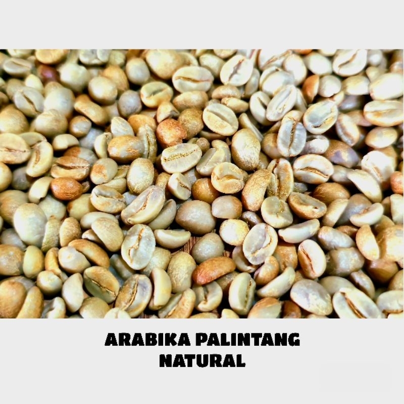 

Biji Kopi Green Beans Arabika Palintang Natural-1Kg