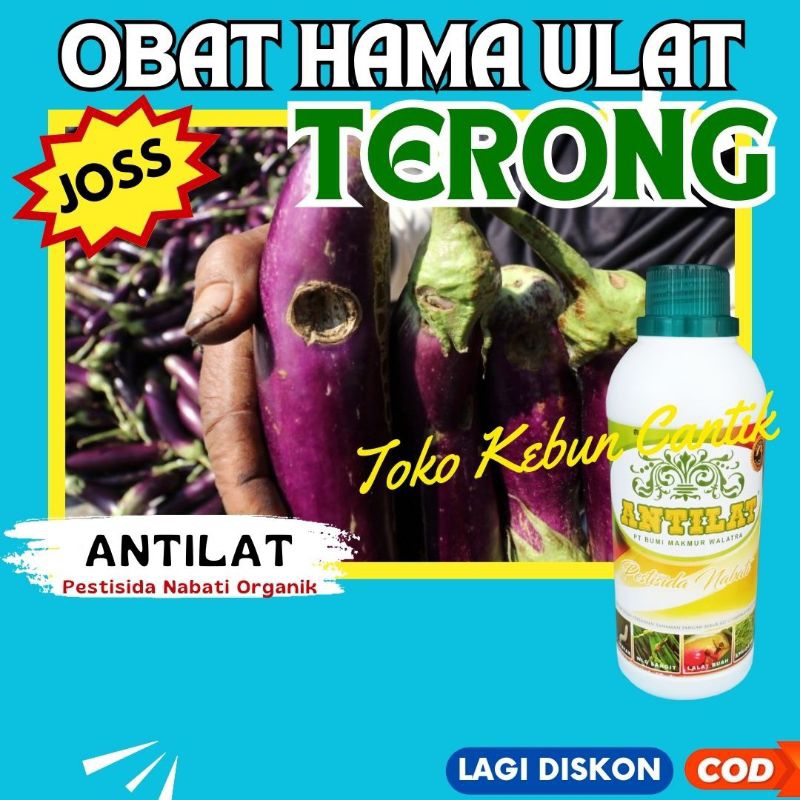 Pestisida Ulat Alam ANTILAT 500ML – Solusi Pembasmi Hama Ulat untuk Tanaman Cabe, Tomat, Jagung, Pad