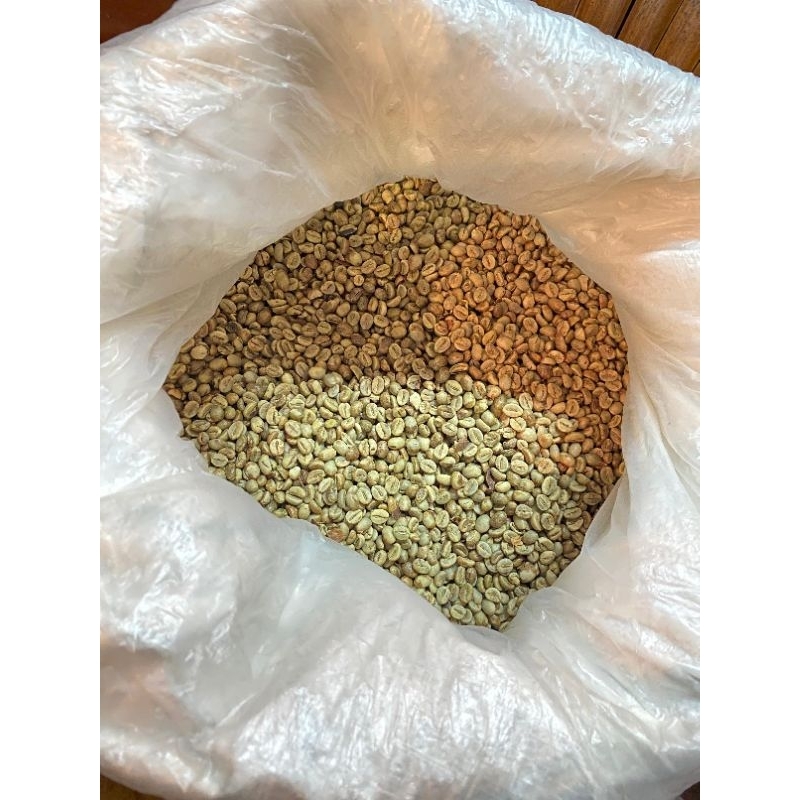 

ROBUSTA TEMANGGUNG (green bean 1kg) G2