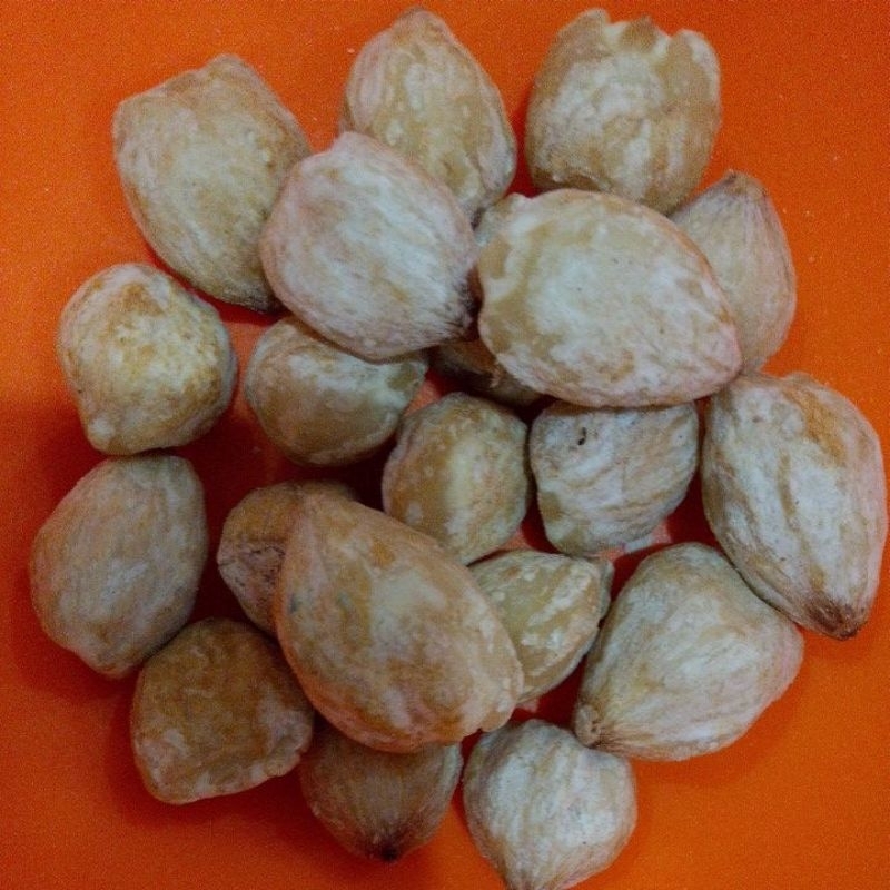

rempah kemiri mentah