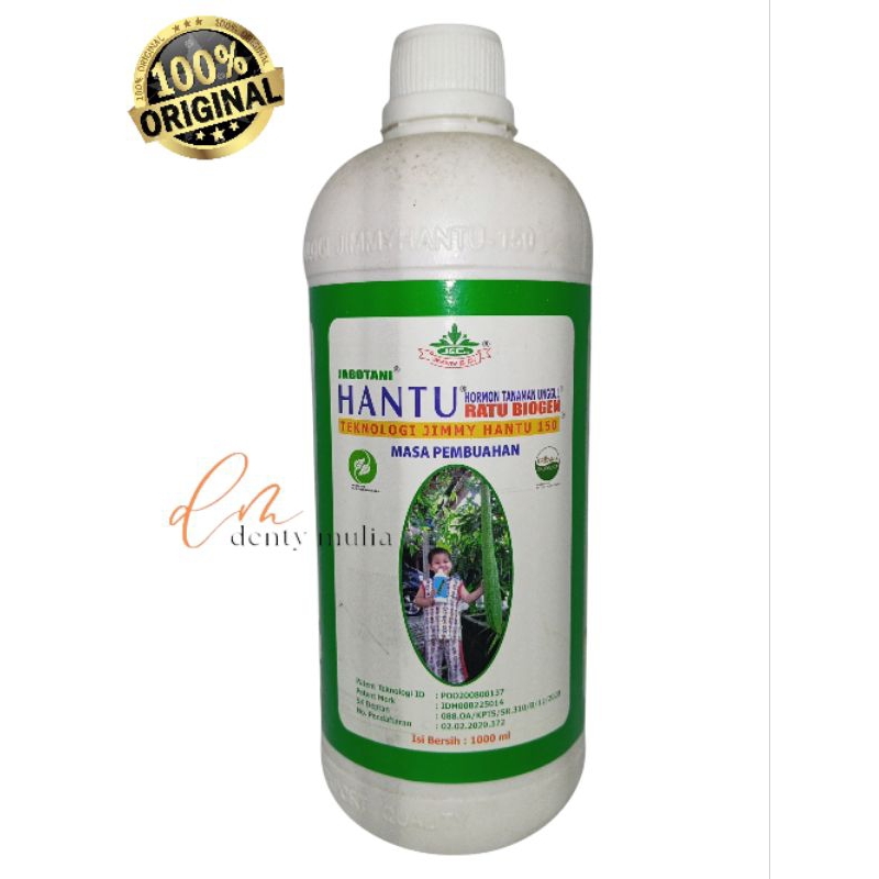JIMMY HANTU 150 Pembuahan