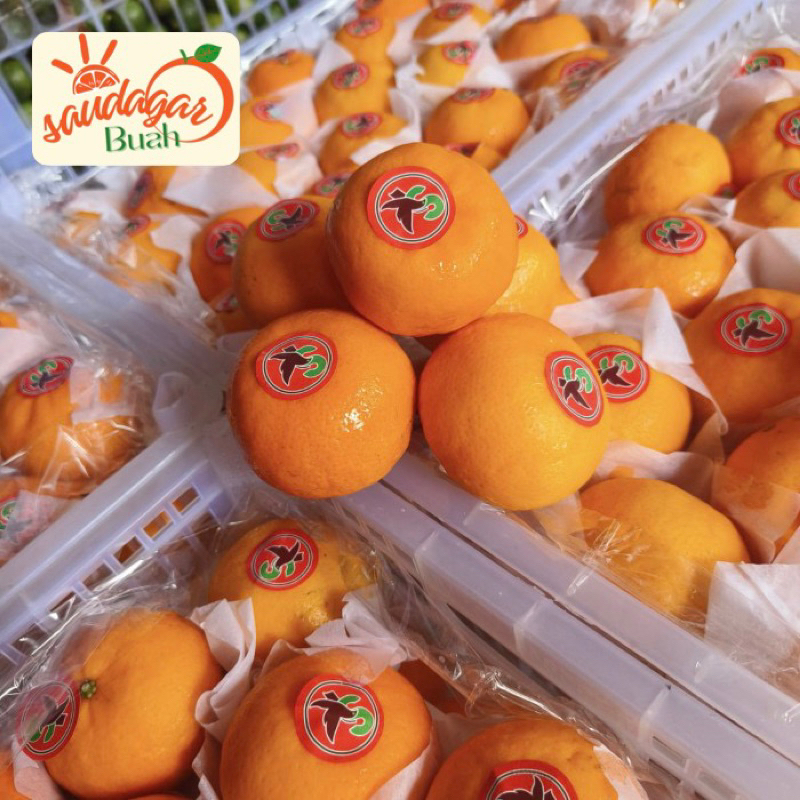 

BUAH JERUK MANDARIN WOGAN FRESH 1 KRANJANG