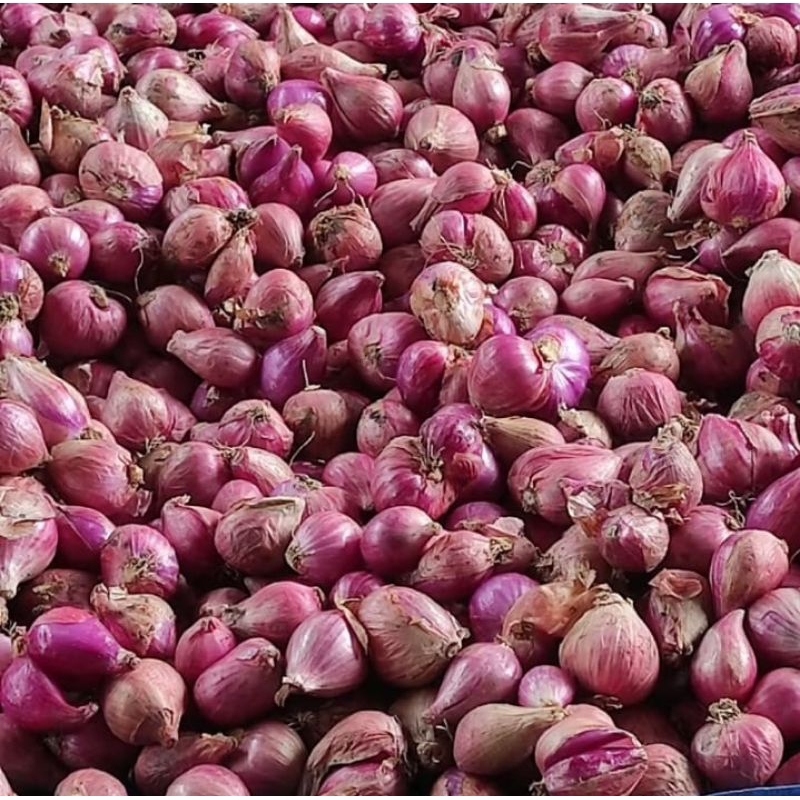 

bawang brebes asli ukuran 1kg