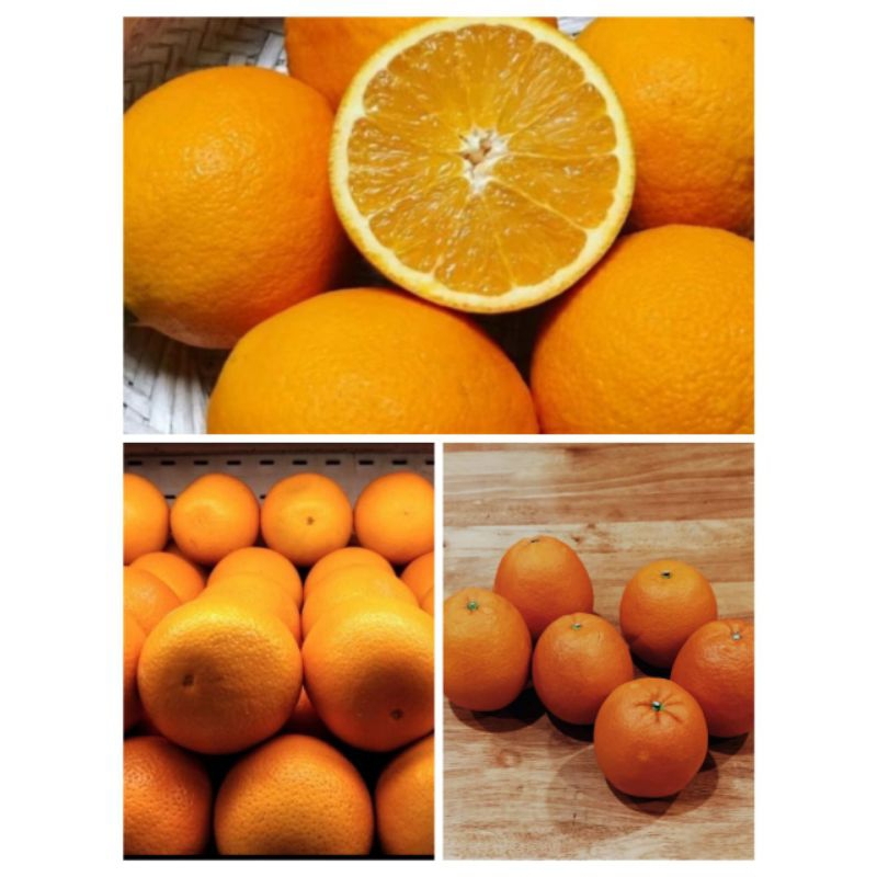 

Sunkist Import