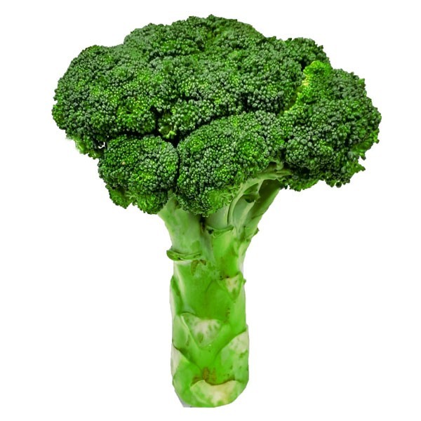 

Brokoli 500gr, Brocolli, brokolly, Broccoli