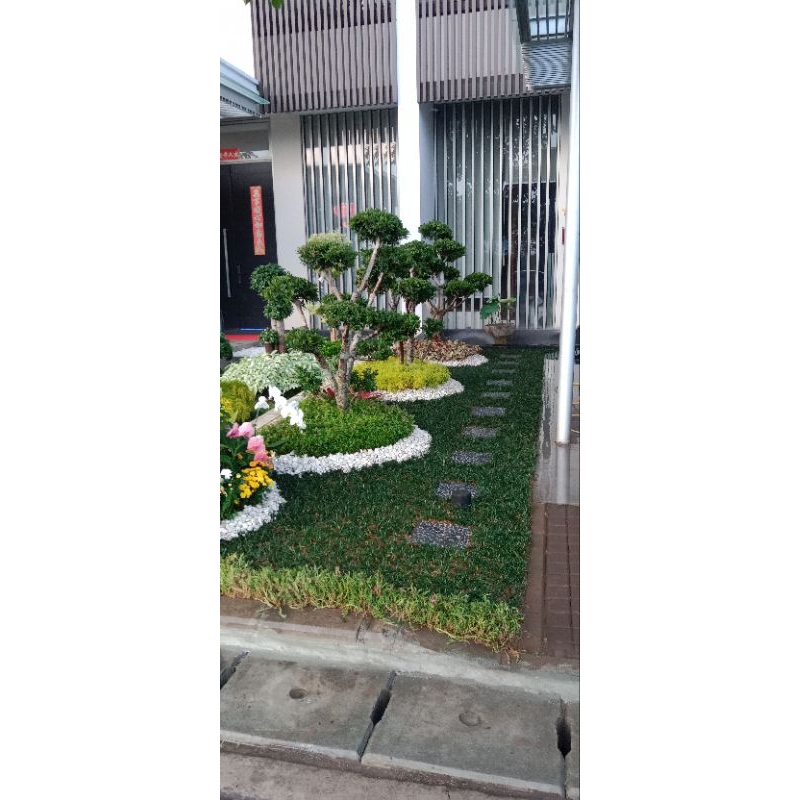 Taman Minimalis Terimah Jasa Pembuatan Taman Rumah