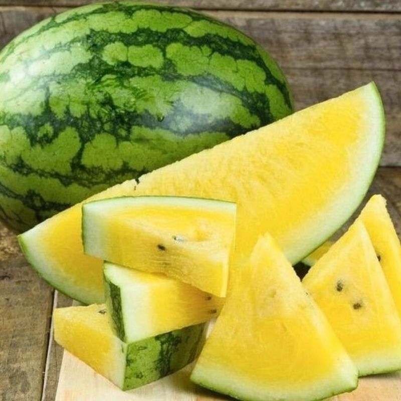 3 Biji Benih Semangka Kuning Bibit Buah Unggul