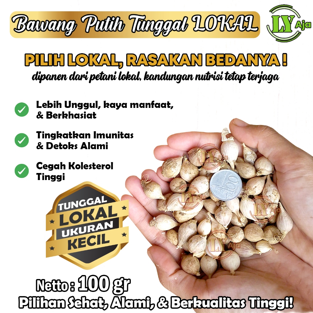 

Bawang Putih Tunggal Lanang Lokal 100g Premium Super Jumbo Sedang Kecil LY Aja