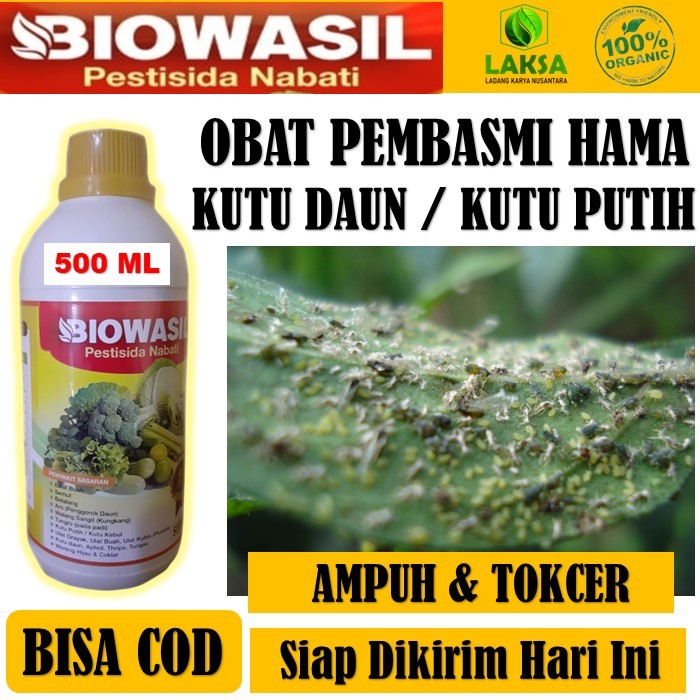 BIOWASIL pestisida nabati pembasmi kutu daun & kutu putih pada tanaman - BIOWASIL pestisida Nabati P